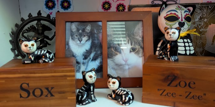 Zoe and Sox's memorials on the Heritage Shelf